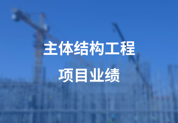 主體結構工程項目案例展示